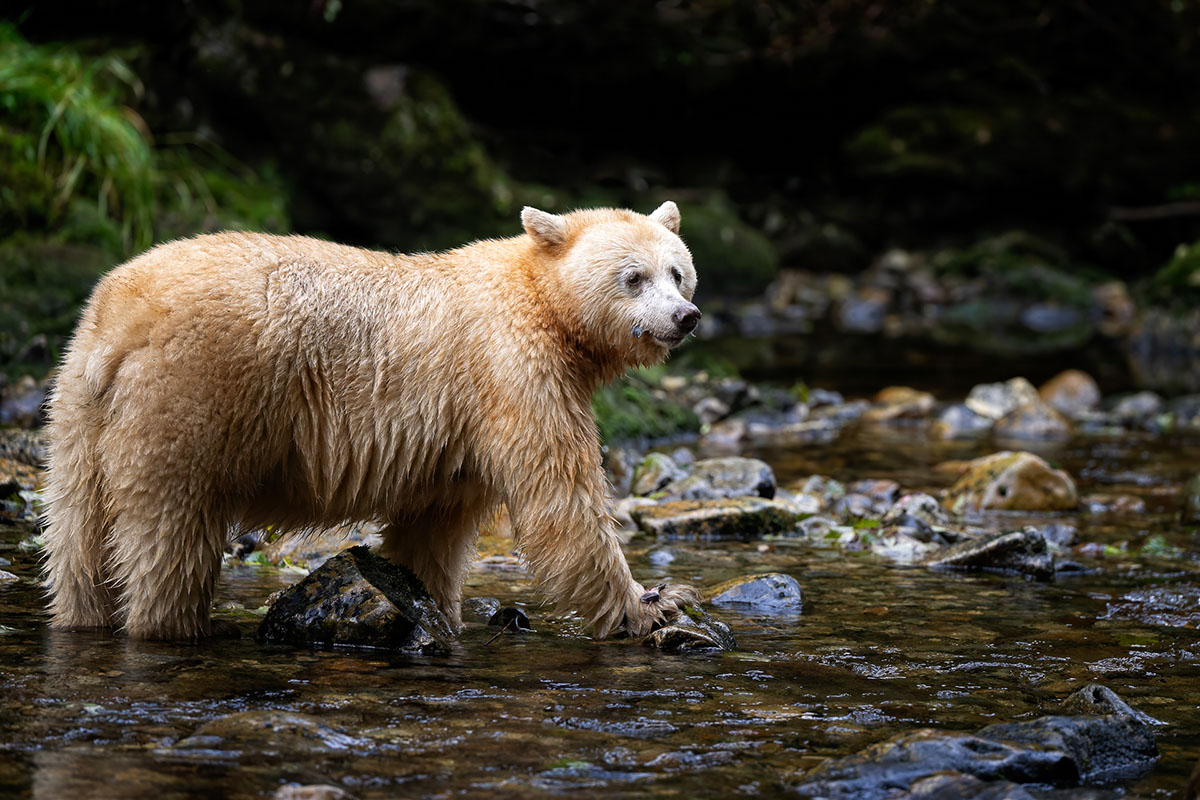 1025-Wildlife_Ames_A_002
