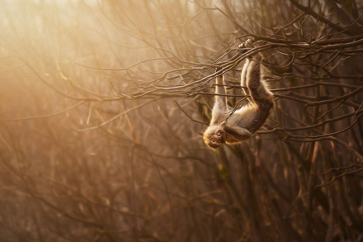 1194-WILDLIFE_NEUMANN_W_8