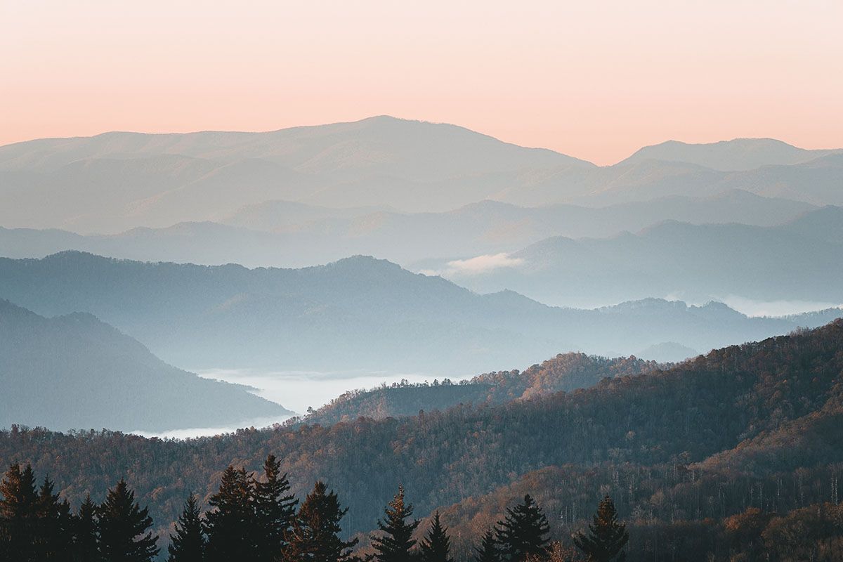35-Landscape_Category_Markey_J_006