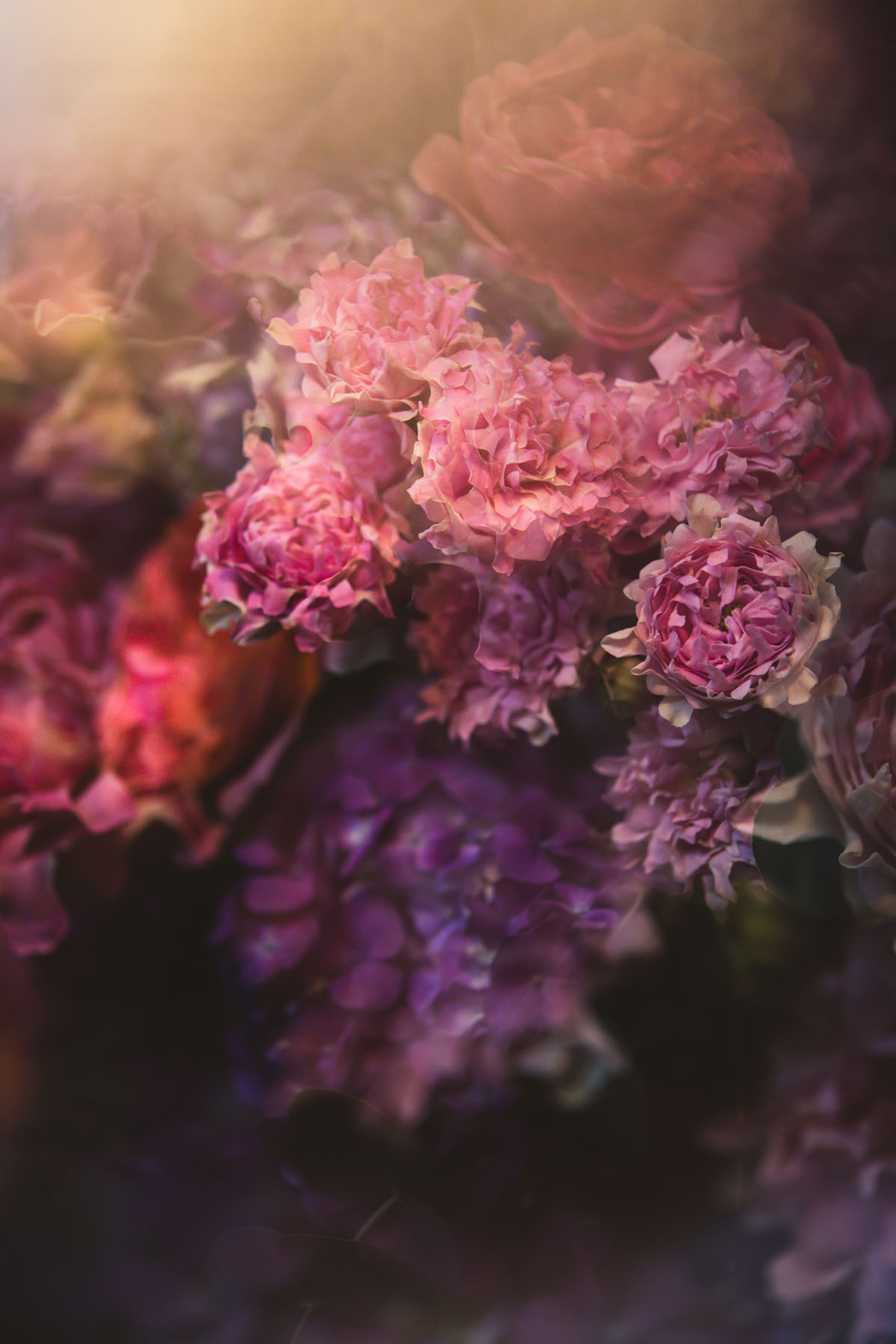 772-Nature_Robinson_N-6