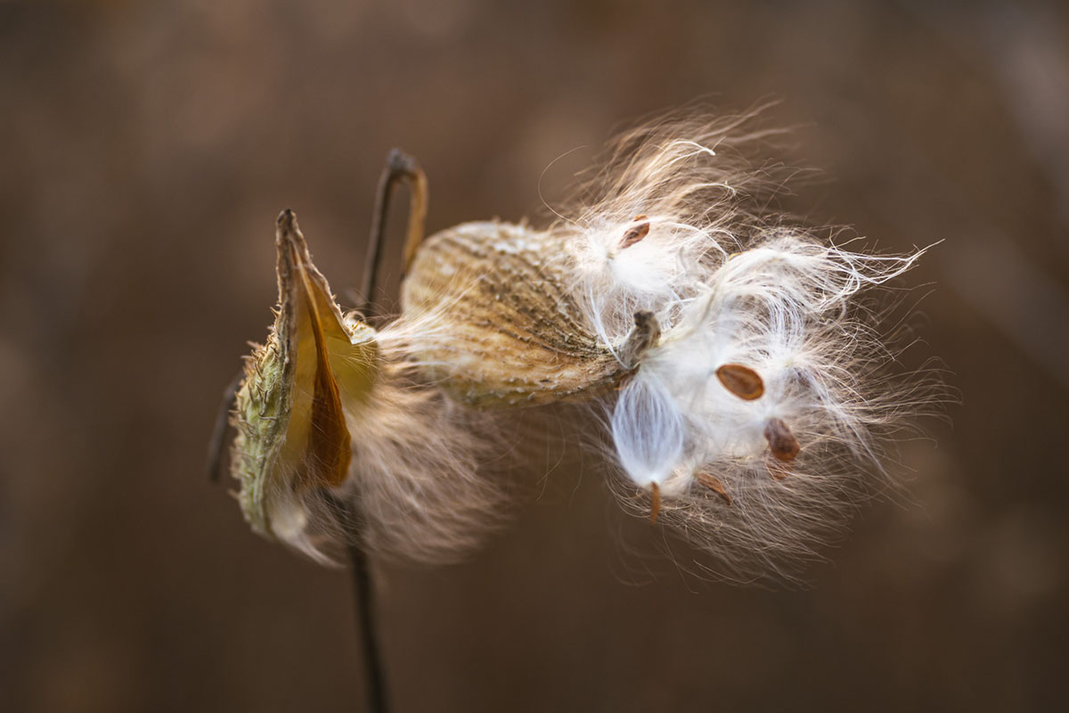 873-Nature_Zastrow_K-3