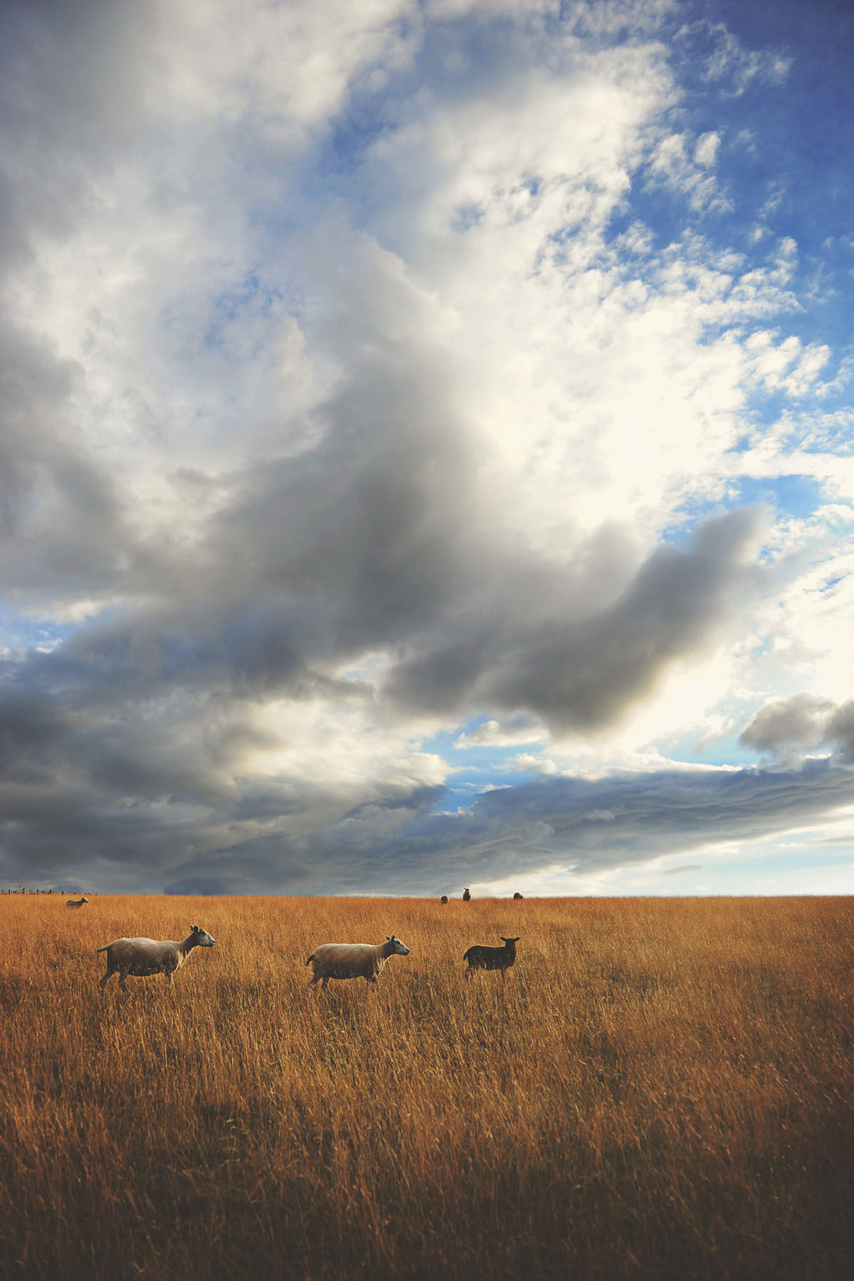 969-Weather_Larmour_Kirsty_01