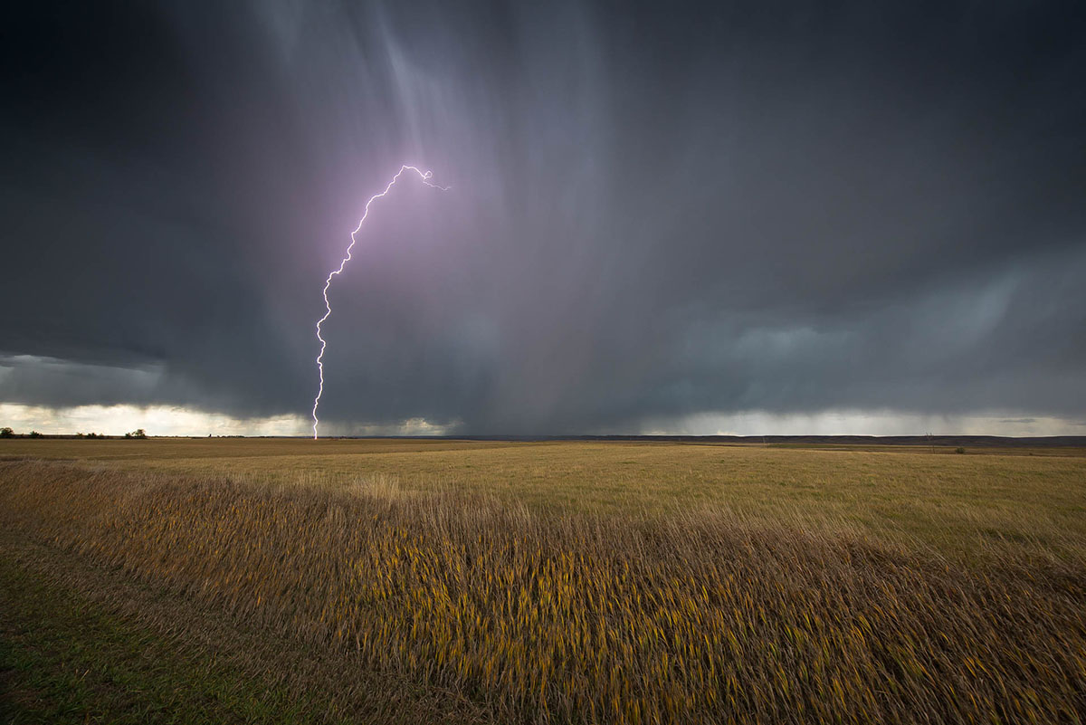 982-Weather_Pease_J-2