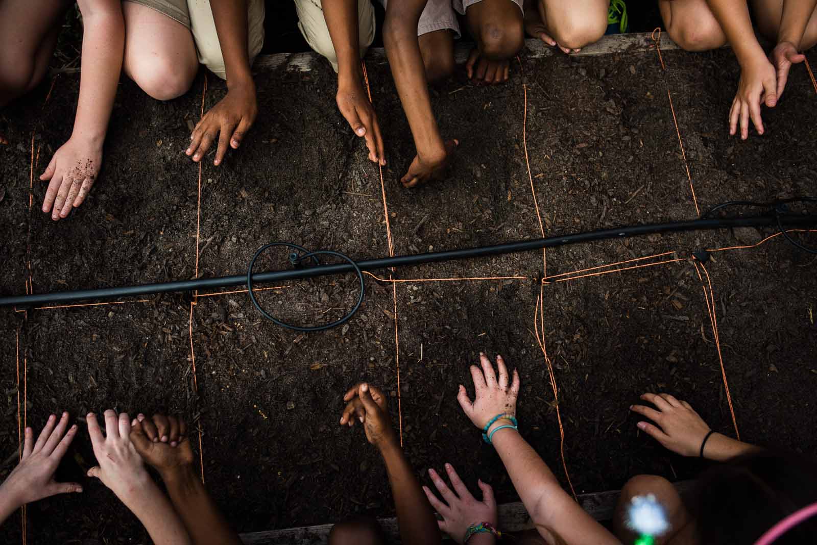 hands in the dirt in a garden on Adobe Stock Images