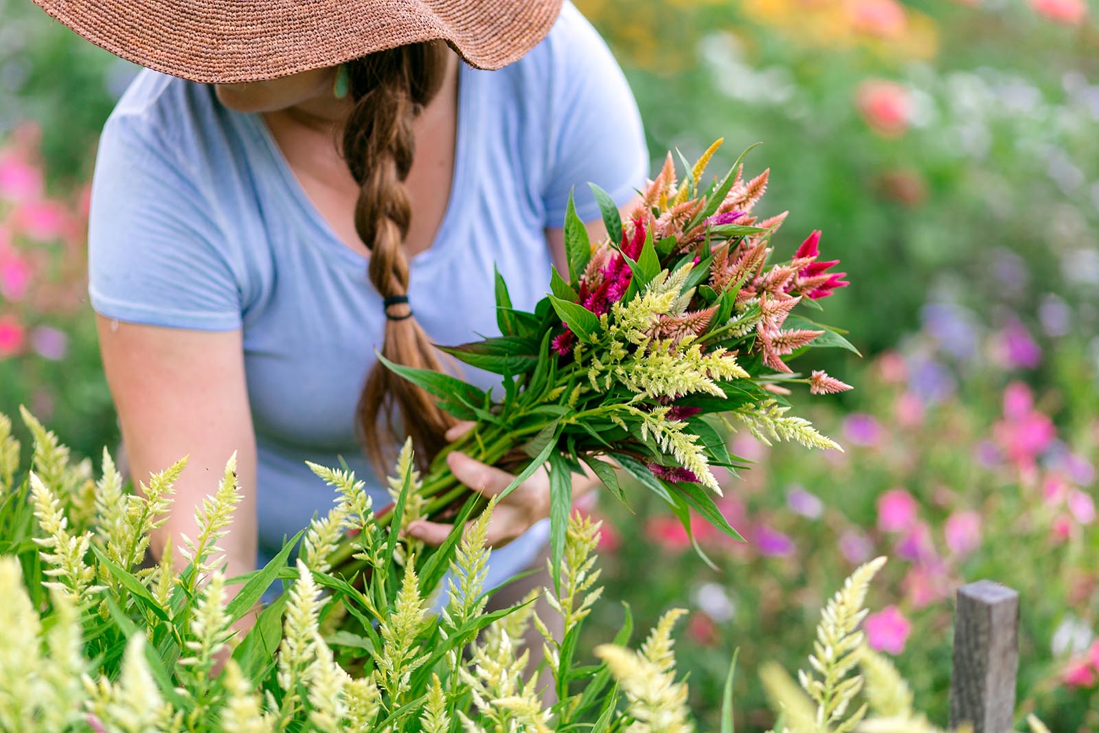 headshot of woman picking flowers, determine photography pricing