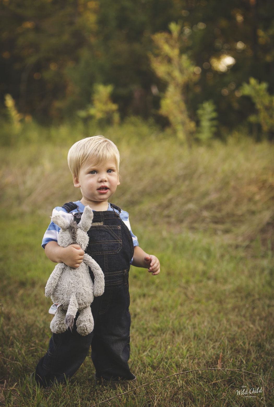 family sessions-15
