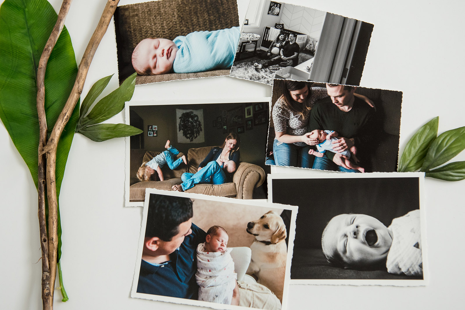 I used to offer everything under the sun - prints in three different finishes, metal prints, canvas, image boxes - but nobody was ordering anything. Not anymore!