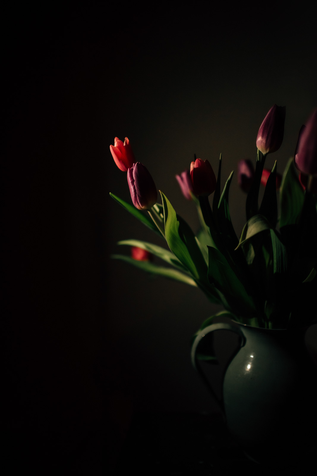 Light-Hackers-Creative-Light-Class-for-Photographers-Low-Light-Image-by-Jenny-Rosenbring-using-light-source-iphone