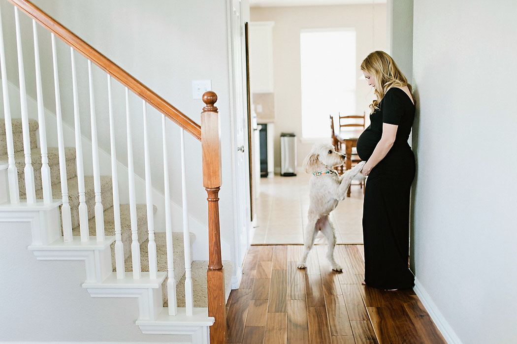 maternity picture with a dog by Erica Williams