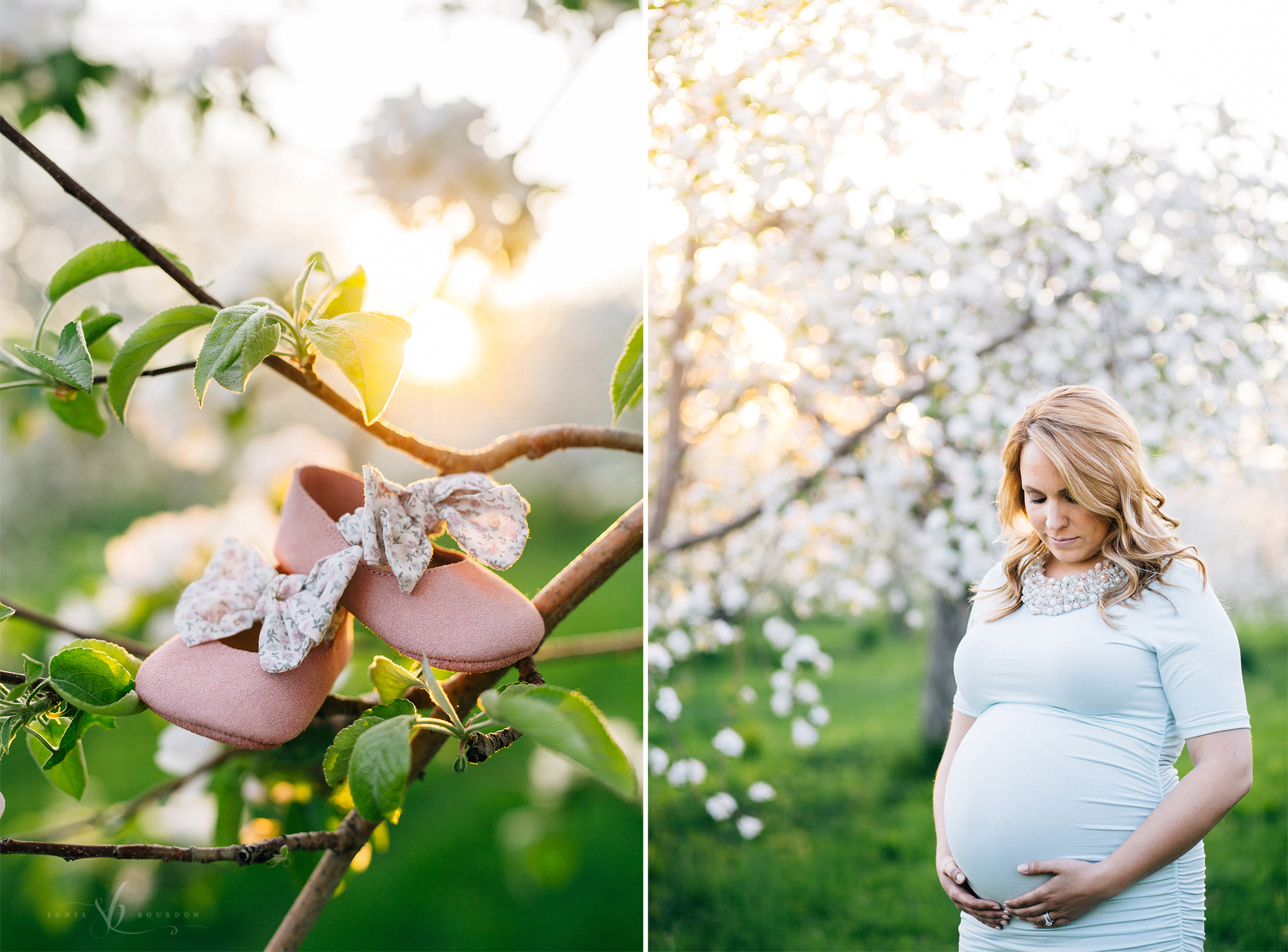 maternity portrait by Sonia Bourdon