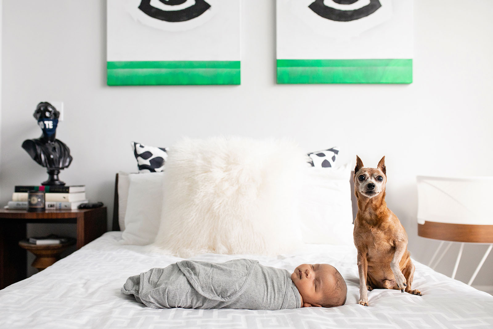 Newborn baby and dog on bed during photo session