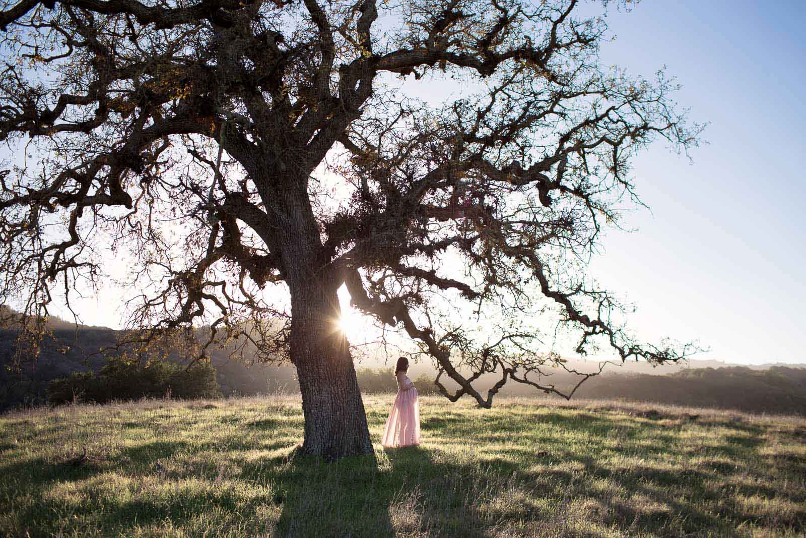 Travel session photo of a pregnant woman under a tree in Cupertino California